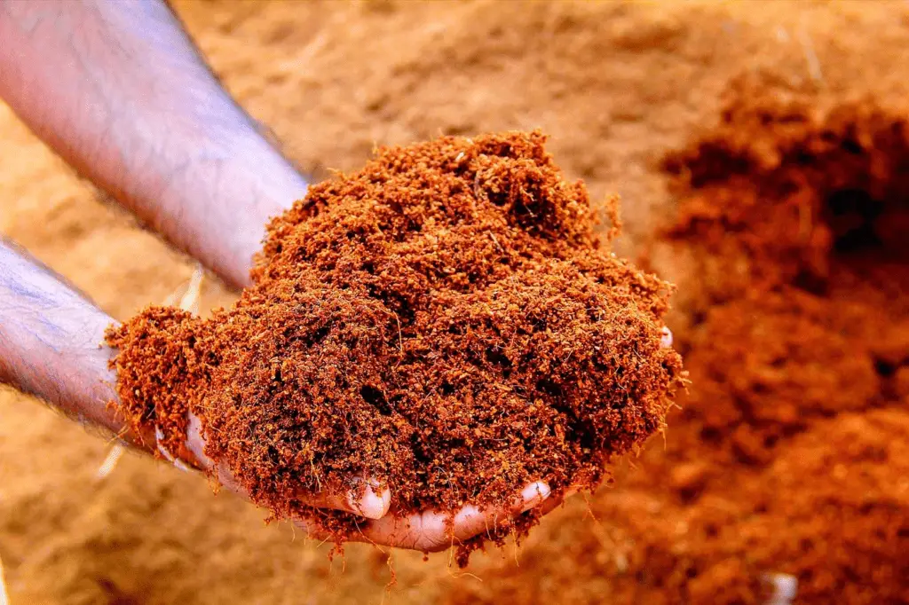 Cocopeat
